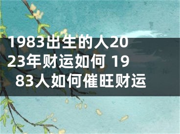 1983出生的人2023年财运如何 1983人如何催旺财运