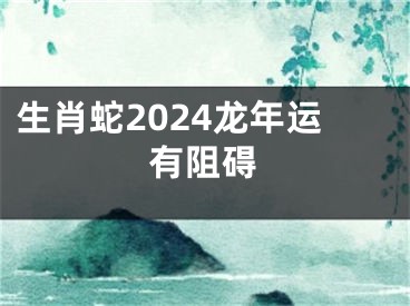 生肖蛇2024龙年运有阻碍