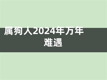 属狗人2024年万年难遇