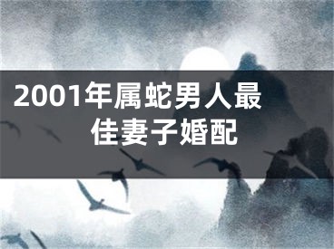 2001年属蛇男人最佳妻子婚配