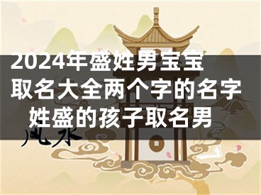 2024年盛姓男宝宝取名大全两个字的名字 姓盛的孩子取名男