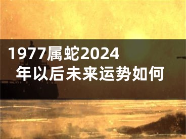 1977属蛇2024年以后未来运势如何