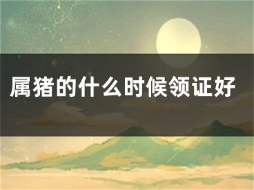 属猪的什么时候领证好