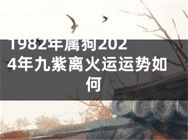1982年属狗2024年九紫离火运运势如何