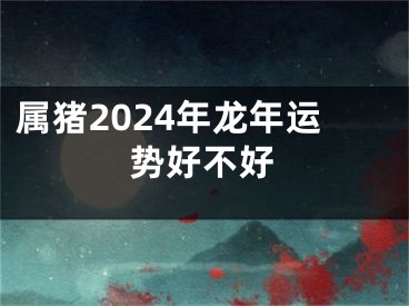 属猪2024年龙年运势好不好