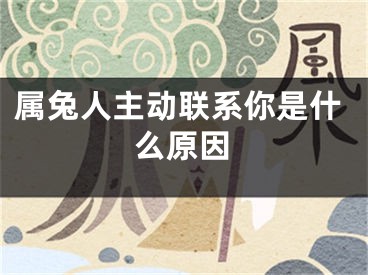 属兔人主动联系你是什么原因