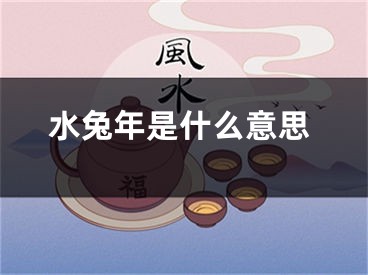水兔年是什么意思