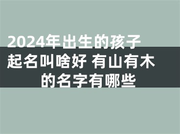 2024年出生的孩子起名叫啥好 有山有木的名字有哪些