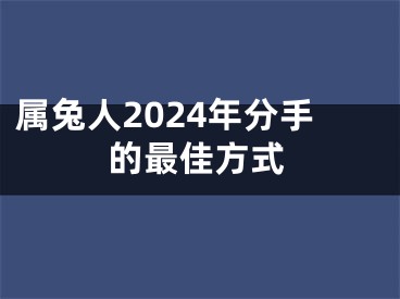 属兔人2024年分手的最佳方式