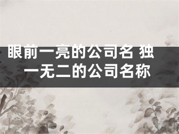 眼前一亮的公司名 独一无二的公司名称