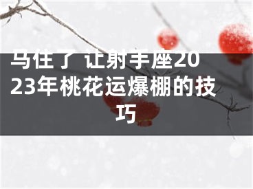 马住了 让射手座2023年桃花运爆棚的技巧