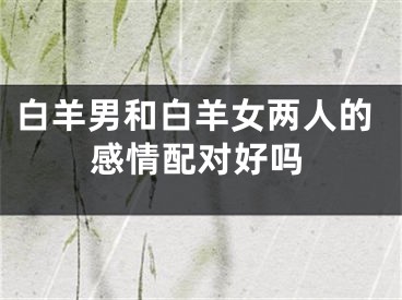 白羊男和白羊女两人的感情配对好吗