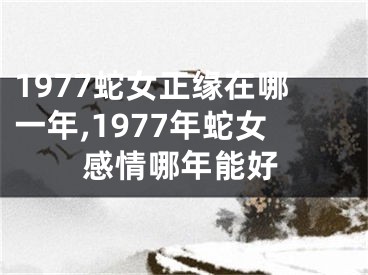 1977蛇女正缘在哪一年,1977年蛇女感情哪年能好