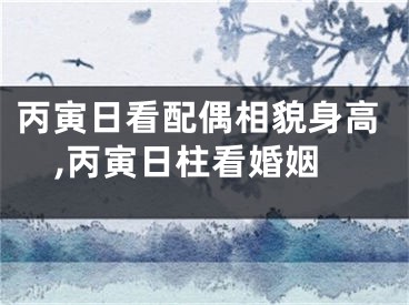 丙寅日看配偶相貌身高,丙寅日柱看婚姻