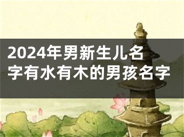 2024年男新生儿名字有水有木的男孩名字