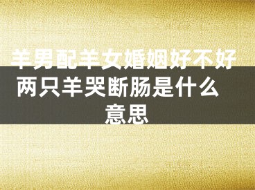 羊男配羊女婚姻好不好 两只羊哭断肠是什么意思
