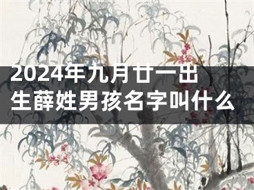 2024年九月廿一出生薛姓男孩名字叫什么