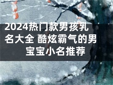 2024热门款男孩乳名大全 酷炫霸气的男宝宝小名推荐