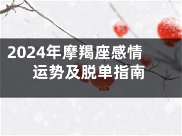 2024年摩羯座感情运势及脱单指南