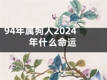 94年属狗人2024年什么命运