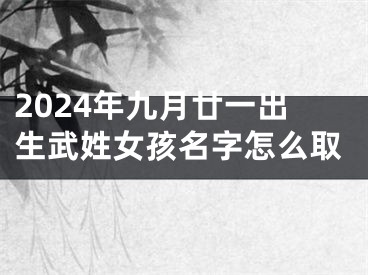 2024年九月廿一出生武姓女孩名字怎么取
