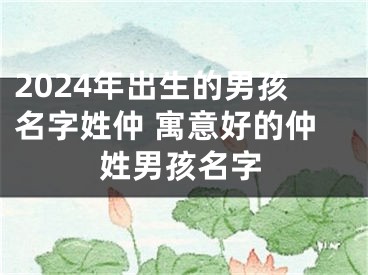 2024年出生的男孩名字姓仲 寓意好的仲姓男孩名字