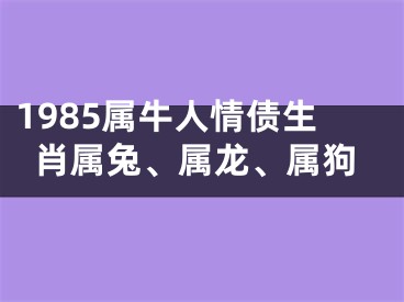 1985属牛人情债生肖属兔、属龙、属狗