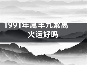 1991年属羊九紫离火运好吗