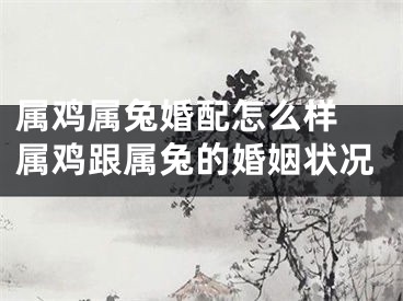 属鸡属兔婚配怎么样 属鸡跟属兔的婚姻状况