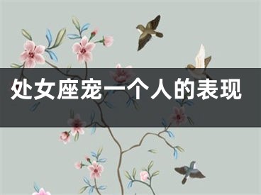 处女座宠一个人的表现