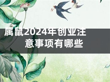 属鼠2024年创业注意事项有哪些