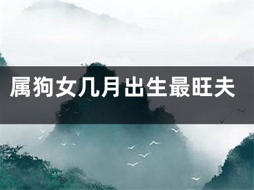 属狗女几月出生最旺夫