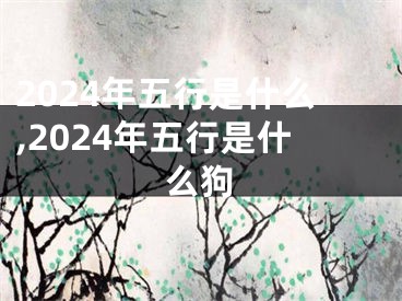2024年五行是什么,2024年五行是什么狗