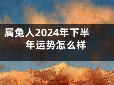 属兔人2024年下半年运势怎么样