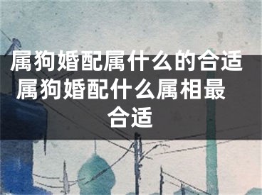 属狗婚配属什么的合适 属狗婚配什么属相最合适