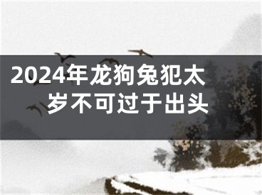 2024年龙狗兔犯太岁不可过于出头