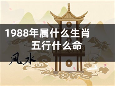 1988年属什么生肖五行什么命