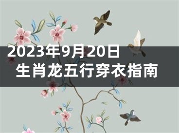 2023年9月20日生肖龙五行穿衣指南