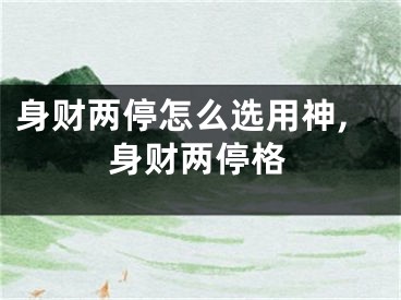 身财两停怎么选用神,身财两停格