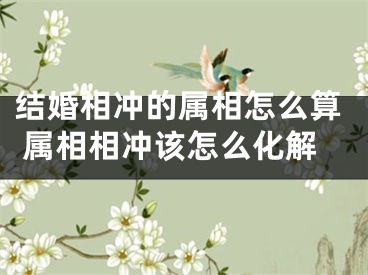 结婚相冲的属相怎么算 属相相冲该怎么化解