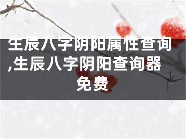生辰八字阴阳属性查询,生辰八字阴阳查询器免费