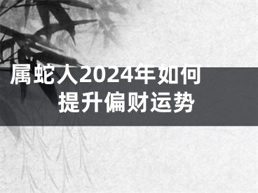 属蛇人2024年如何提升偏财运势