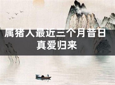 属猪人最近三个月昔日真爱归来