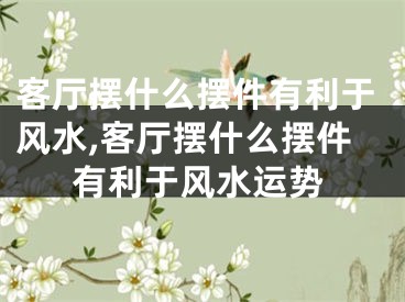 客厅摆什么摆件有利于风水,客厅摆什么摆件有利于风水运势