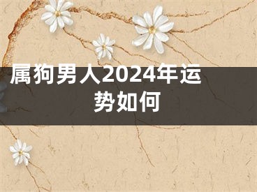 属狗男人2024年运势如何