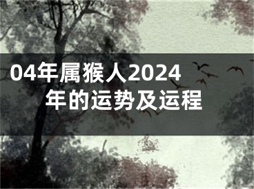 04年属猴人2024年的运势及运程