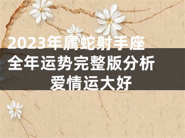 2023年属蛇射手座全年运势完整版分析 爱情运大好