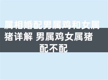 属相婚配男属鸡和女属猪详解 男属鸡女属猪配不配