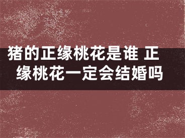 猪的正缘桃花是谁 正缘桃花一定会结婚吗