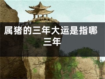 属猪的三年大运是指哪三年
